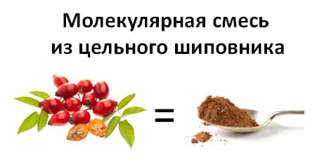 Цільний шипшина